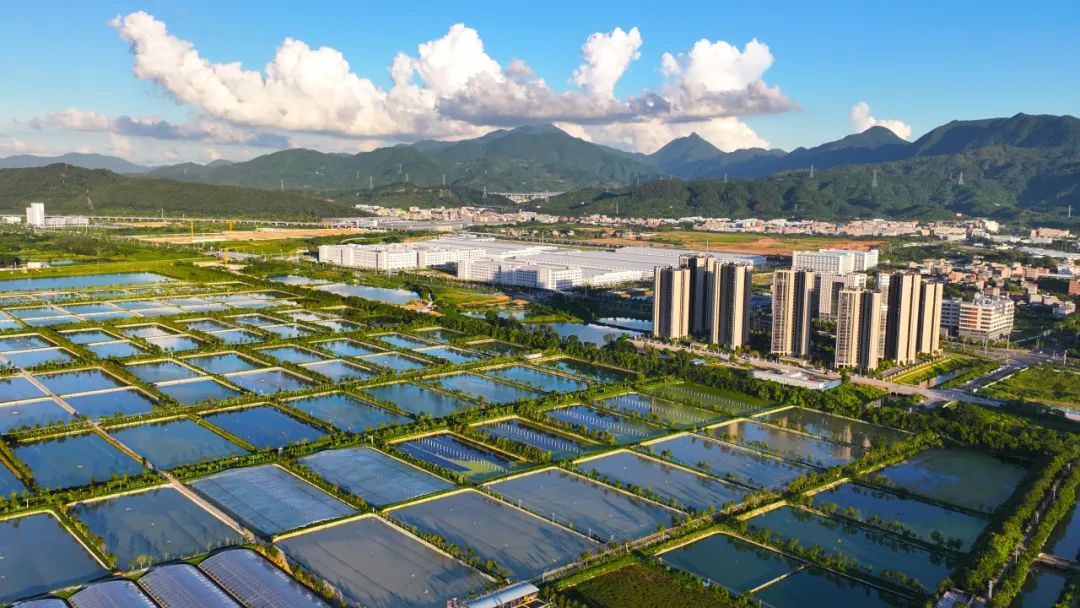 【绿卡资讯】绿卡公司参与制订的国家标准《中华鳖》获批发布实施！