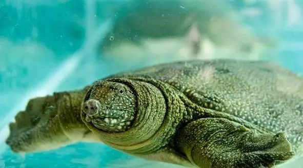 17ec5d016002bcf9f8ea20f49d5209ce.png 17ec5d016002bcf9f8ea20f49d5209ce.png