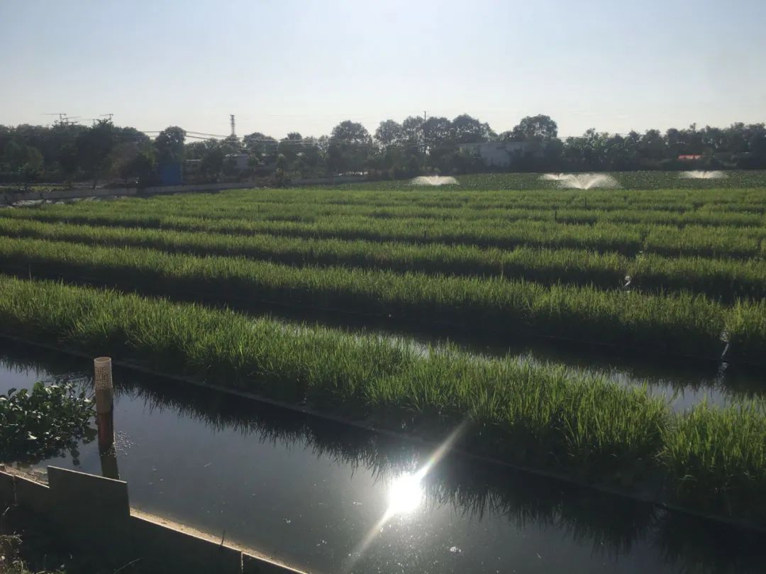 微信图片_20221219102434.jpg 微信图片_20221219102434.jpg