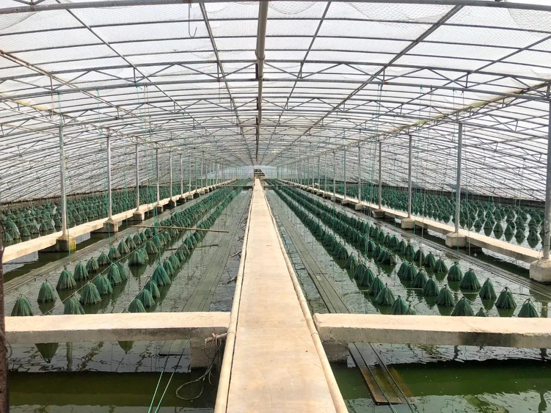 微信图片_20221219103257.jpg 微信图片_20221219103257.jpg