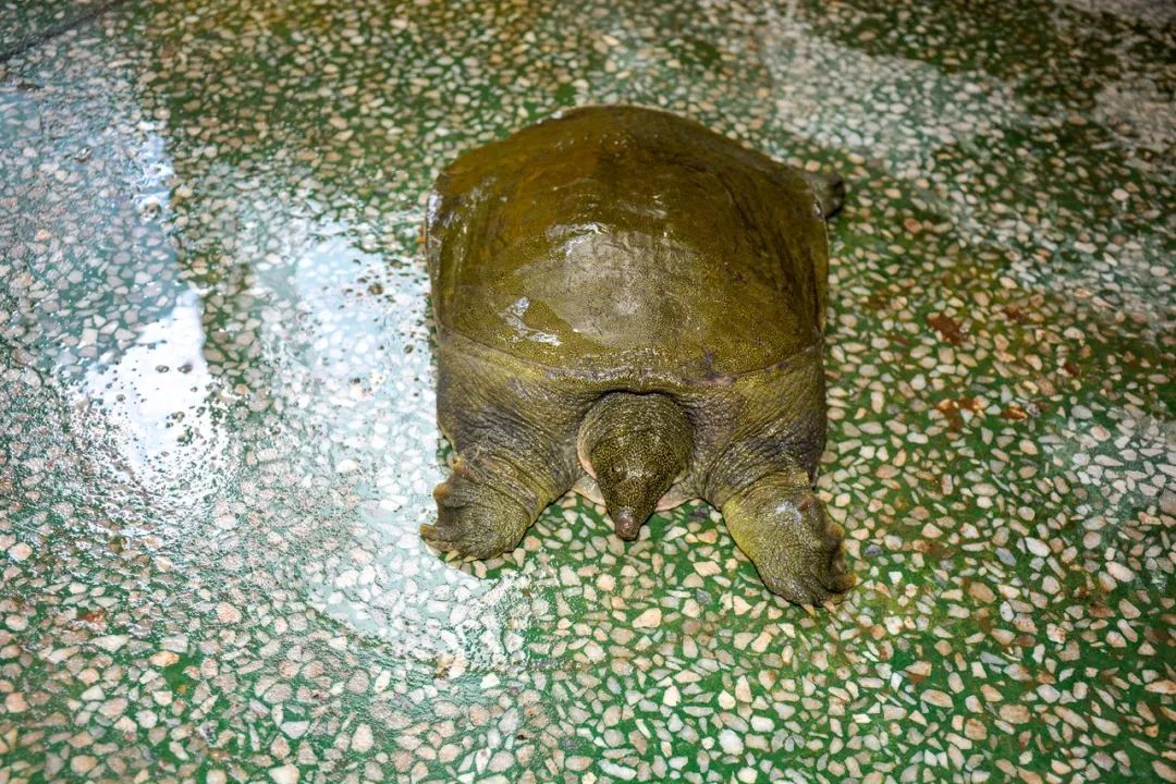 微信图片_20221219103250.jpg 微信图片_20221219103250.jpg