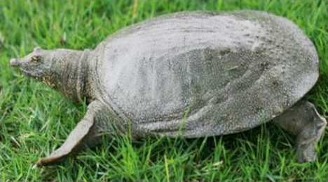 微信图片_20221219103248.png 微信图片_20221219103248.png