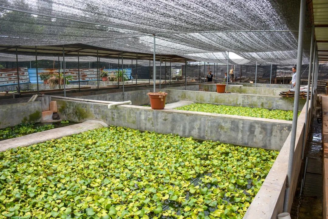 微信图片_20221219103254.jpg 微信图片_20221219103254.jpg