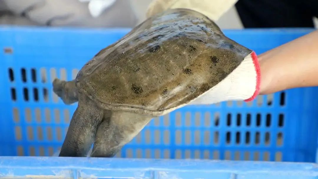 微信图片_20221221083033.jpg 微信图片_20221221083033.jpg