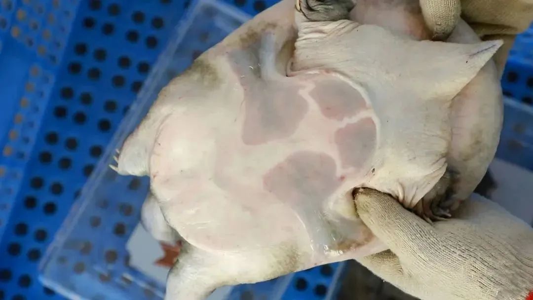 微信图片_20221221083035.jpg 微信图片_20221221083035.jpg